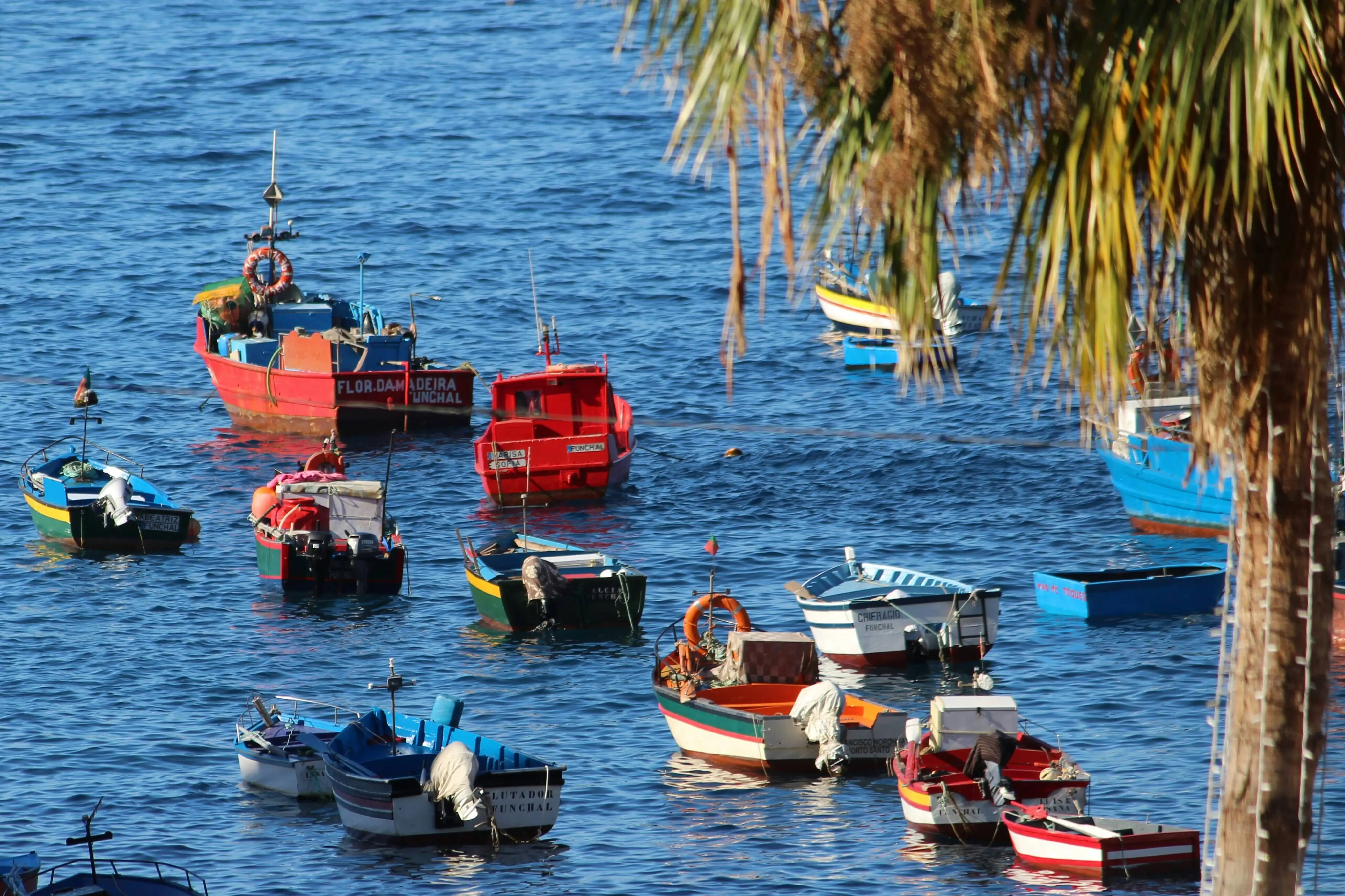 Câmara de Lobos bay